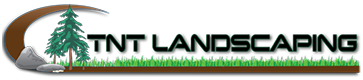 tnt-oldlogo